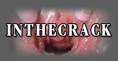 logo In the crack